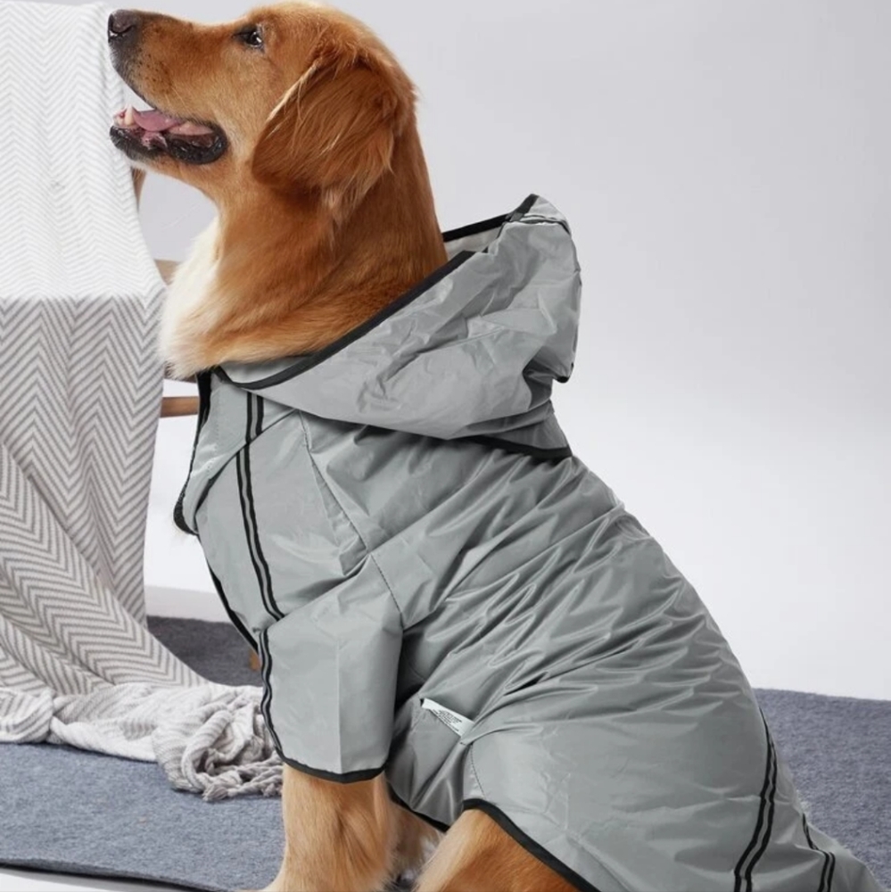 Gray Waterproof Doggy Rain Coat
